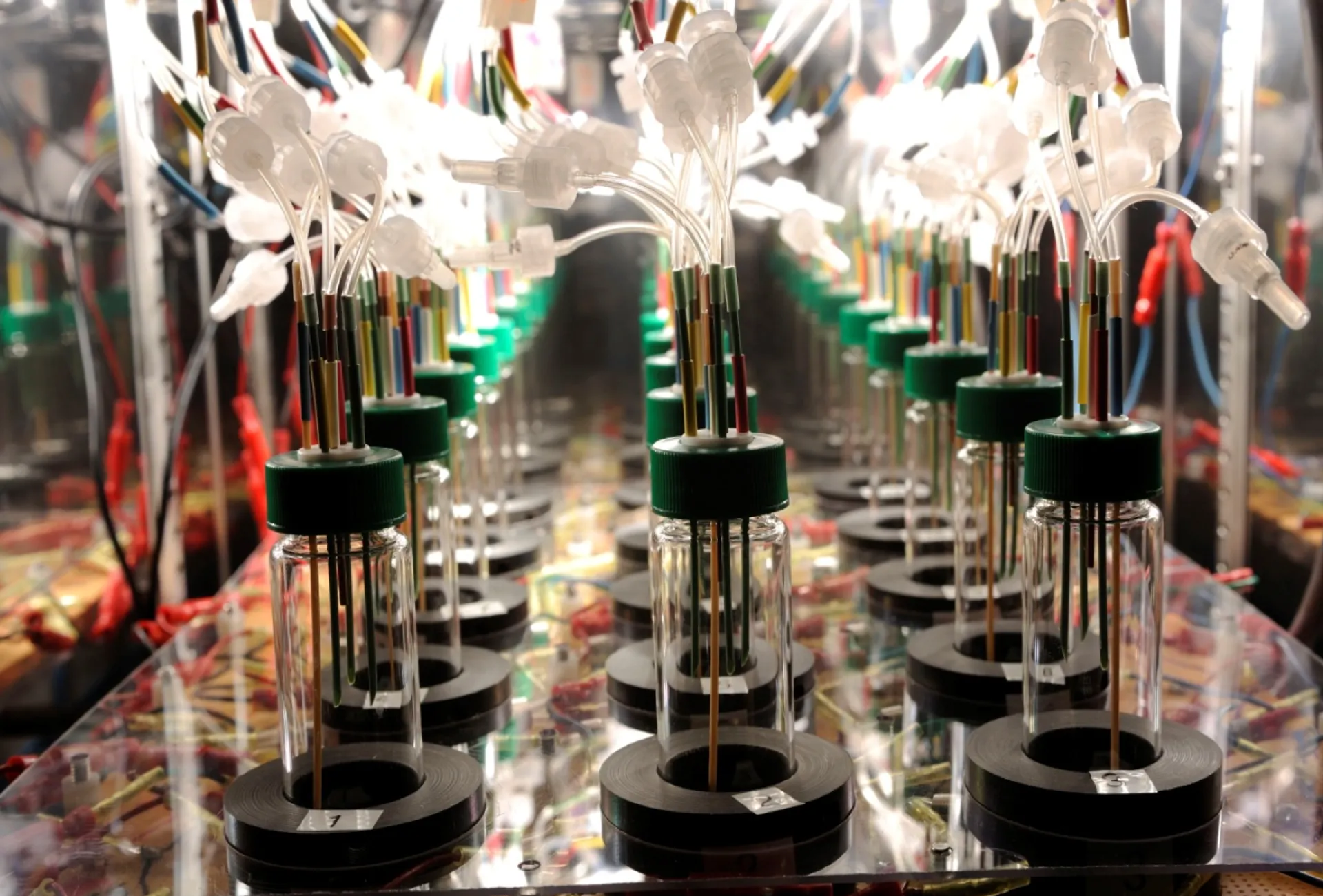 Lab research image 5
