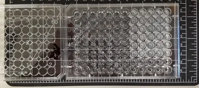 Lab photo 2