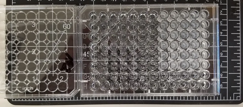 Lab photo 2