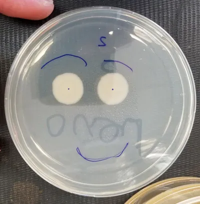 Lab photo 3