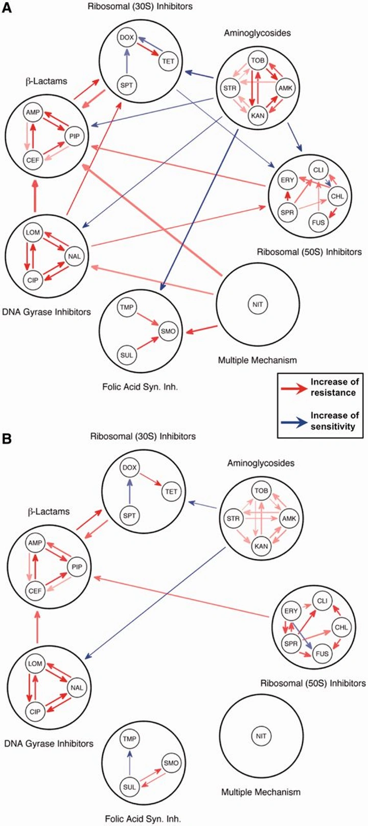 Cross-resistance network diagrams comparing strong vs mild antibiotic selection — denser network under strong selection indicates more pleiotropic effects